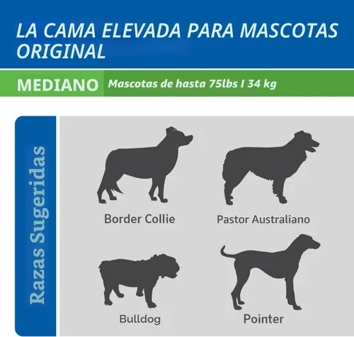 Vista 6 de Coolaroo Cama elevada y refrescante para perros, para interiores y exteriores, tamaño mediano, gris oscuro (Gunmetal)