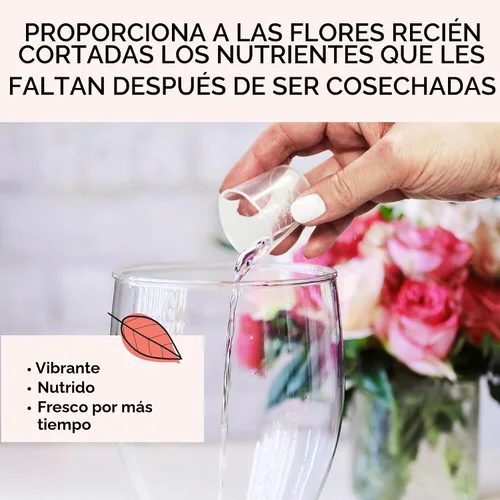 Vista 5 de FloraLife - Alimento de flores recién cortadas, líquido, multinutrientes e hidratación, 8 onzas