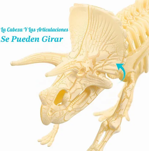 Vista 3 de Figura para armar Nuolux, 3 piezas 4D fósil de esqueleto de dinosaurio para niños