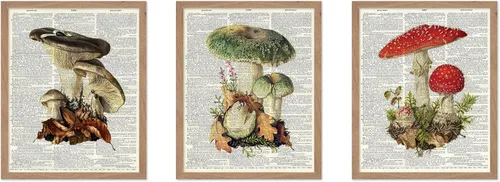 Vista 49 de Poster Master Póster botánico vintage de 3 piezas, estampado floral retro, regalo para artistas, amigos, flores de acuarela, brillante, azul