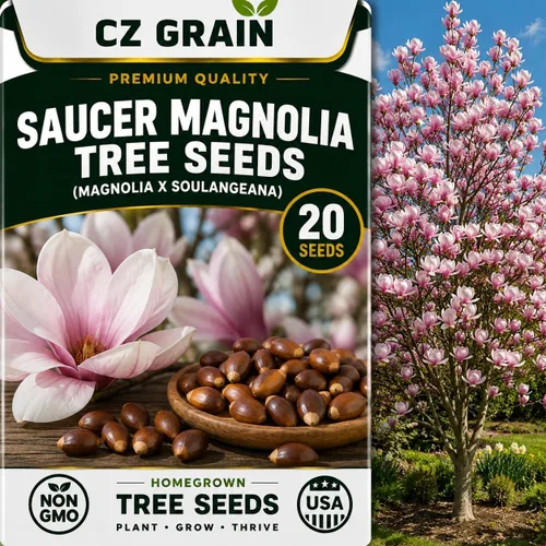 Vista 49 de CZ Grain Semillas para plantar, 40 pequeñas mezclas de calabaza