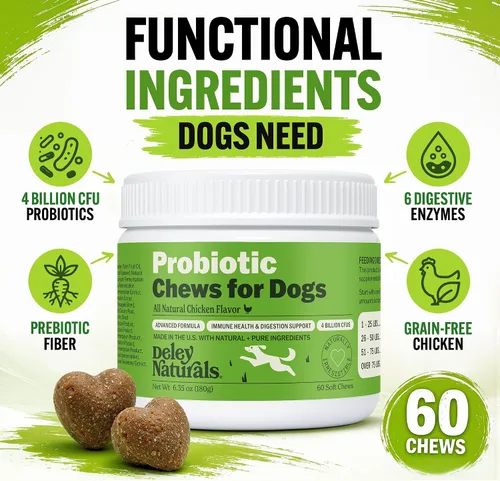 Vista 4 de Deley Naturals Probióticos masticables para perros – 4 mil millones de UFC probióticos para perros, prebióticos, enzimas para la digestión