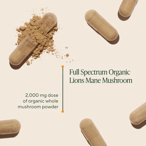 Vista 3 de Om Mushroom Superfood Suplemento de superalimento de cápsulas de hongos melena de león de 90 unidades, 30 días, cuerpo de fruta y micelio nootrópico