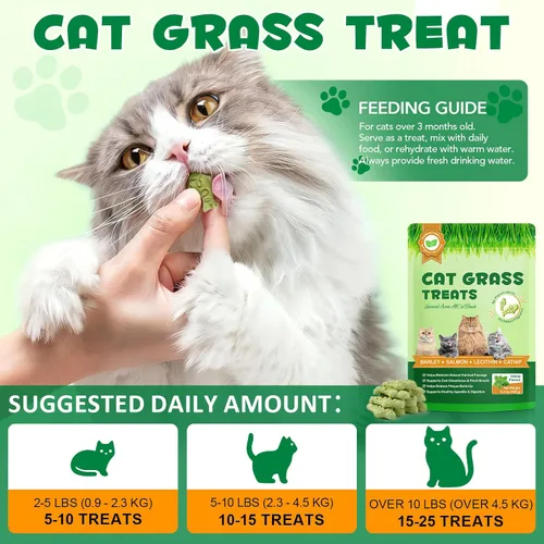 Vista 8 de Golosinas de hierba para gatos, golosinas para control de bolas de pelo en interiores, delicioso palo de dentición de hierba para quitar bolas