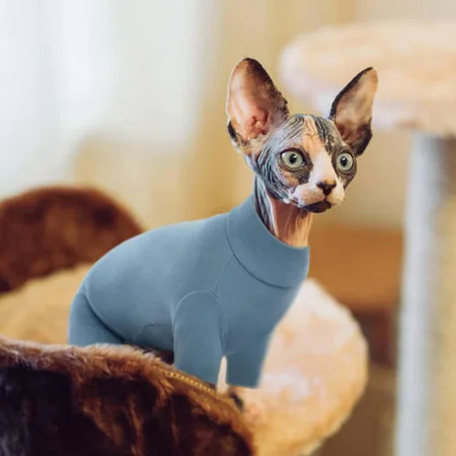 Vista 5 de ROZKITCH Suéter XS para Gato, Suéteres Suaves y Transpirables Solo para Sphynx, Abrigo con Cuatro Patas, Suéter Cálido Camiseta Pijama Mono Chaleco