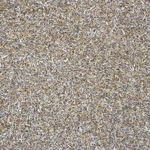 Vista 4 de Semillas de artemisia tridentata (Artemisia tridentata) más de 100 semillas de hierbas medicinales en cápsulas de semillas congeladas