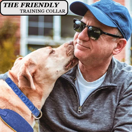 Vista 5 de Collar de entrenamiento para perros con 4 eslabones adicionales para perros medianos, grandes y extragrandes (azul)