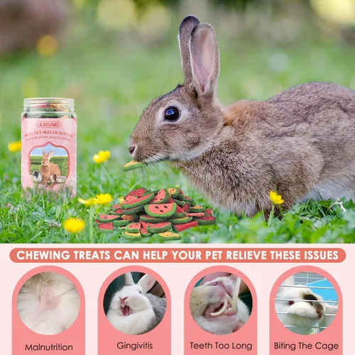 Vista 7 de KATUMO Golosinas masticables de conejo, golosinas saludables de conejo natural Timothy palitos de heno para conejo, juguetes para masticar