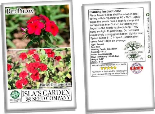 Vista 4 de Semillas rojas de Phlox para plantar, más de 200 semillas de flores tradicionales por paquete, semillas anuales, sin OMG, nombre botánico: Phlox