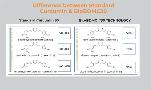 Vista 5 de Pro NovoCurcumin-BioBDMC50-Next Generation Curcumina altamente mejorada - 240 cápsulas