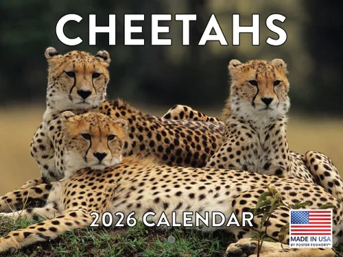 Vista 117 de Calendario mensual de pared de alpaca 2025 Fabricado en Estados Unidos