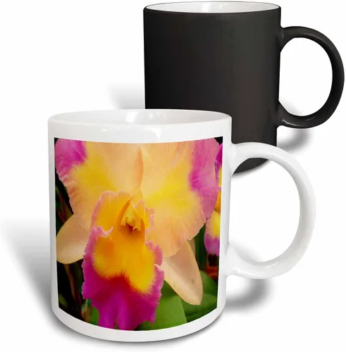 Vista 11 de 3dRose Florene Flores – Gorgeous Orquídea – Tazas, Negro/Blanco