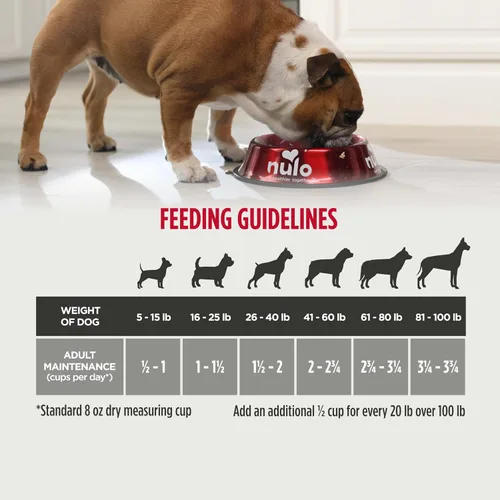 Vista 5 de Nulo Frontrunner - Alimento seco para perros, receta de carne de res alta en proteínas, cebada y cordero, croquetas naturales con granos antiguos