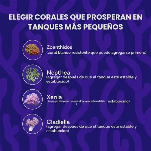 Vista 7 de Coralife BioCube - Tanque de peces para acuario de agua salada, 15 galones Sal de acuario para nano acuario, neutraliza el cloro y la cloramina
