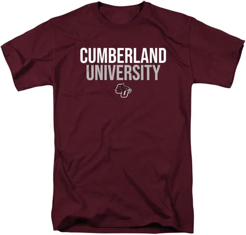 Vista 85 de Colección de camisetas para adultos apiladas colegiales 1 Universidad Estatal de Albany