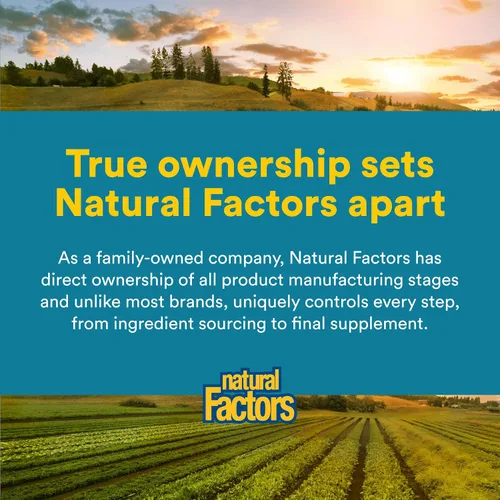 Vista 7 de Natural Factors, TravelBiotic, apoya la salud del colon y el sistema inmunológico, suplemento probiótico estable, 10 mil millones de UFC, vegano, 60