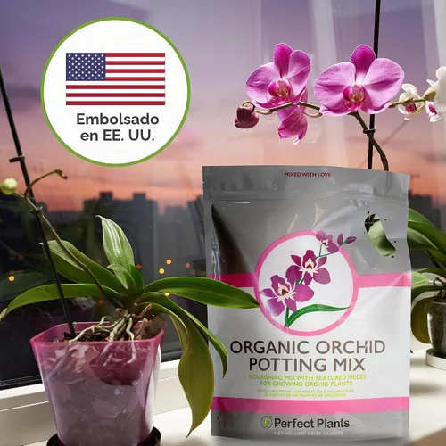Vista 6 de Perfect Plants - Mezcla natural para macetas de orquídeas, 4 cuartos de galón, mezclada a mano en pequeños lotes, ideal para Phalaenopsis de todo