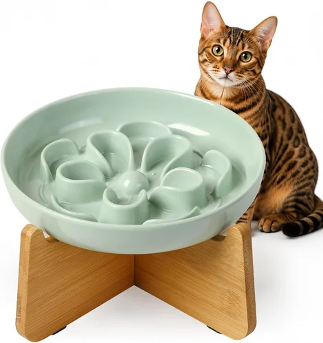 Vista 12 de PTOBER Cuenco elevado para gatos de alimentación lenta – Plato de melamina para gatos con soporte de bambú antideslizante – Tazón de alimentación