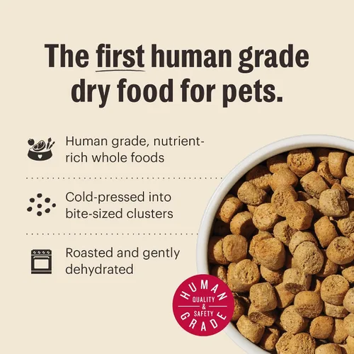 Vista 6 de The Honest Kitchen Alimento seco de grado humano para perros, alimentos secos de grano entero para perros de raza pequeña, pollo, 1 libra