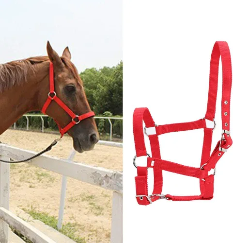 Vista 2 de Cabestro ajustable para caballo, cabestro de cuero para caballos, cabestro de cuero para caballos Halter, control de caballo, caballo, correa