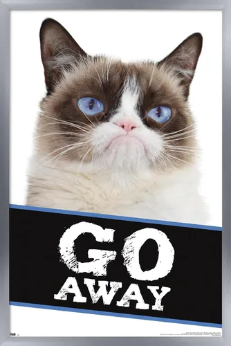 Vista 10 de Trends International Grumpy Cat - Póster de pared con texto en inglés «Go Away», 14.725 x 22.375 pulgadas, versión enmarcada de madera de granero