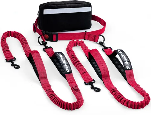 Vista 16 de Correa de perro manos libres con cinturón – Bungee sin tirones, asas acolchadas dobles y bolsa con cremallera para correr, caminar y entrenar