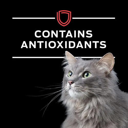 Vista 9 de Purina Pro Plan Veterinary Diets DM Dietetic Management - Alimento húmedo para gatos de fórmula felina (paquete de 24) latas de 5.5 onzas