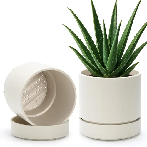 Vista 27 de Phoenix Vine 4 Inch Planter Pot with Drainage Hole & Saucer, Deep Water Catch Tray, Straight Cylindrical Round Pot for Plants, Olive, Pack of 1