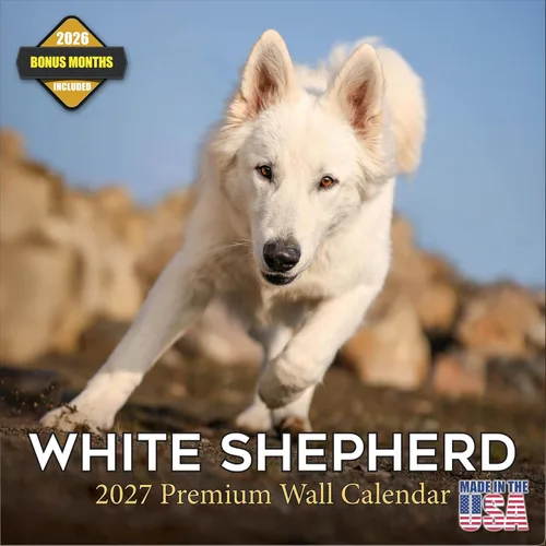 Vista 37 de Calendario de Lebrel Afgano 2025 2026, calendario mensual de pared de raza canina, 12" x 18" abierto, papel grueso sin traspaso, ideal para regalo