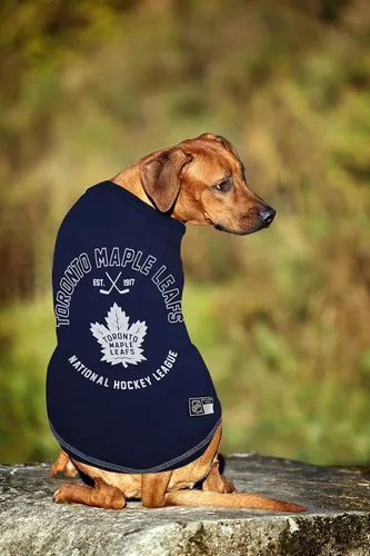 Vista 3 de Camiseta NHL de Toronto Maple Leafs para perros y gatos, X-Small. - ¿Eres un fanático del hockey? ¡Haz que tu mascota también sea fanática de la NHL!