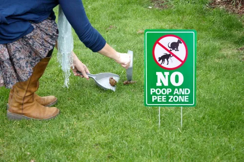 Vista 2 de WaaHome Cartel de perro "No Poop and Pee", 8 x 12 pulgadas, letrero
