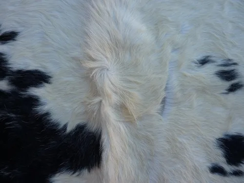 Vista 6 de SAFAVIEH Cow Hide Collection - Alfombra decorativa, 4 pies 7 pulgadas x 5 pies 8 pulgadas, color blanco y negro, hecho a mano, rústico y auténtico