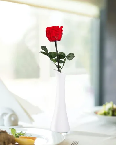 Vista 6 de Flores para Entrega Prime, Rosas Preservadas Regalos de Flores para Mujeres, Rosas Reales Regalos de Rosa Individual para Ella, Regalos