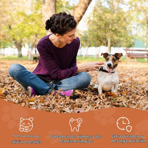Vista 9 de Wildfang Raíz masticable de madera de brezo, pequeño, sin astillas, juguetes masticables para perros masticadores agresivos, juguetes naturales