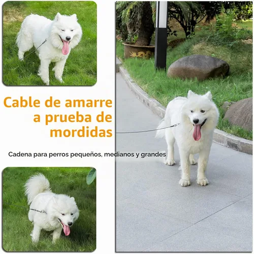 Vista 6 de Cable de amarre para perros, cable de 10 pies para perros, cable de amarre para perros pequeños de hasta 60 libras, correa para perros para patio