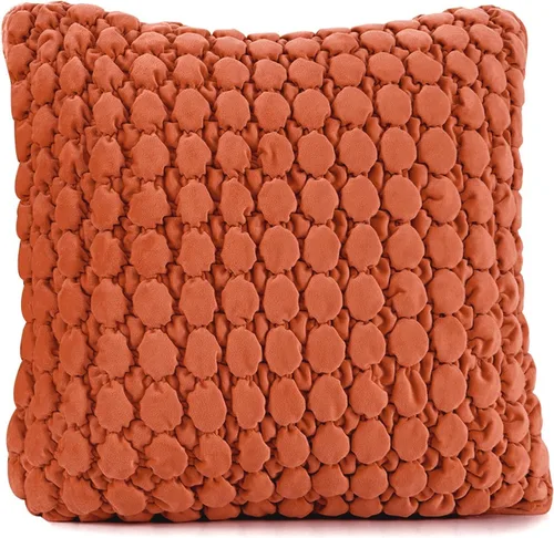 Vista 30 de Juego de 2 fundas de cojín de terciopelo cuadradas de 18x18, funda de cojín suave y amigable con la piel, funda de cojín decorativa engrosada