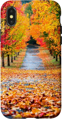 Vista 5 de iPhone 11 Otoño Hojas - Hermoso estuche de arboles