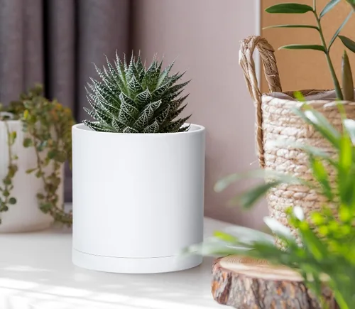 Vista 3 de D'vine Dev - Paquete de 2 macetas de plástico modernas de 4 pulgadas, pequeñas macetas de jardín para plantas con orificios de drenaje y platillos