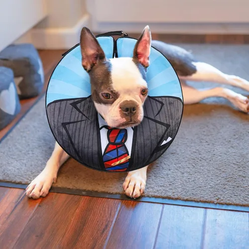 Vista 2 de BEAUTYZOO Alternativa al cono para perro después de la cirugía para perros grandes, medianos y pequeños, collar de cono inflable suave para perros