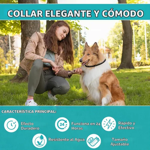 Vista 5 de Prevención de pulgas y garrapatas para perros, paquete de 4 collares