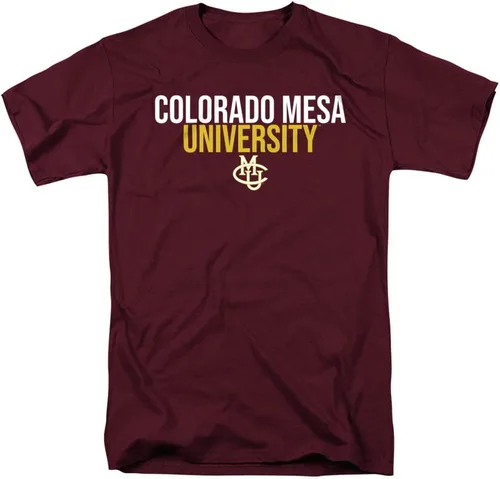 Vista 195 de Collegiate Stacked Adult T Shirt Collection 3