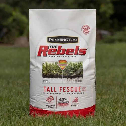 Vista 12 de Pennington The Rebels mezcla de semillas de césped Tall Fescue, 3 libras