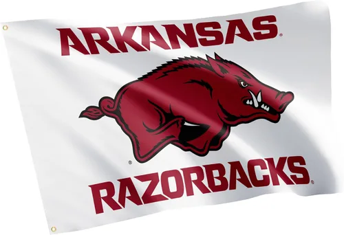 Vista 7 de Desert Cactus Bandera Razorbacks de la Universidad de Arkansas 3x5 para Rojo