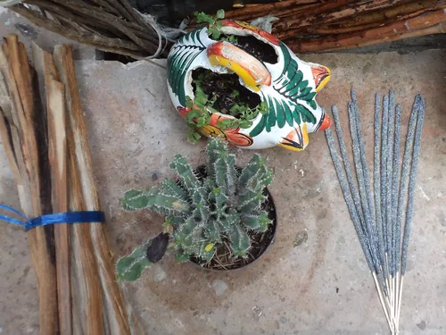 Vista 2 de Palitos de incienso Teomati Sacred Copal
