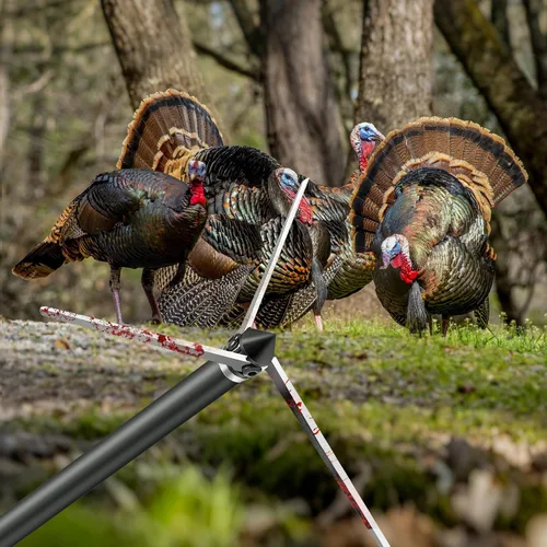 Vista 6 de 6 Pack Turkey Hunting Broadheads 100/125 Grain 420 Stainless Steel 3 Fixed Blade Broadhead 4" Cutting Dia Archery Arrow Tip for Compound Bow and