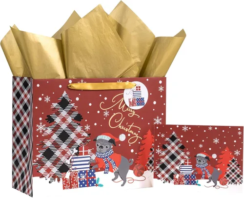 Vista 11 de LeZakaa Bolsa de Regalo Holográfica para Niños, Niños y Niñas, Sombrero de Bruja de Calabaza Malvada de Arcoíris en Diseño Negro con Papel de Seda