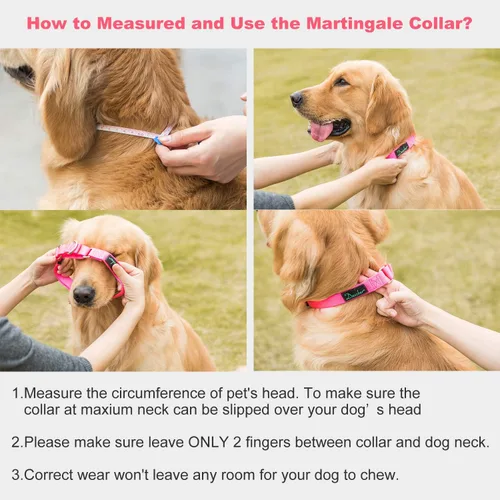 Vista 3 de Martingale collares para perros, ajustable, durable, color sólido, de nylon, Collar para perro grande, mediano y pequeño, por Dazzber, Rosado
