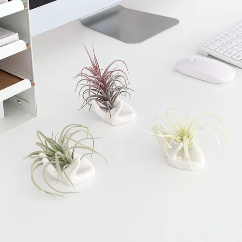 Vista 4 de Dahey Mini soporte para plantas de aire, 1 paquete de soporte de escritorio