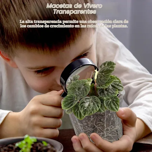 Vista 7 de Paquete de 30 macetas transparentes para vivero con drenaje de 6 tamaños