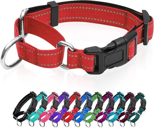 Vista 12 de Collares de perro Martingale reflectantes. Collar de perro con hebilla de liberación rápida. Collar de mascota de nylon ajustable, suave, acolchado